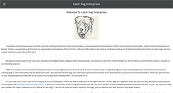Desktop Screenshot of catchdogenterprises.com